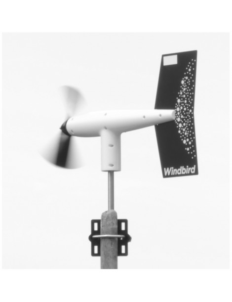 Windbird Fox Anemometer